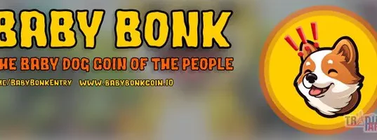 Baby Bonk successeur de DogeCoin ? BabyBonk web banner