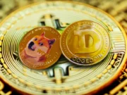 Dogecoin progresse de 15% : Dogecoin progresse de 15 %