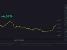 Sui : La crypto de 2025 ? sui-charts