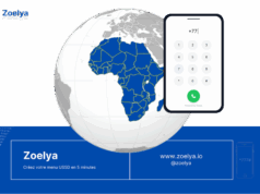 Zoelya: la revolution des-services ussd en  Afrique