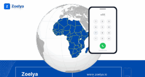 Zoelya: la revolution des-services ussd en Afrique